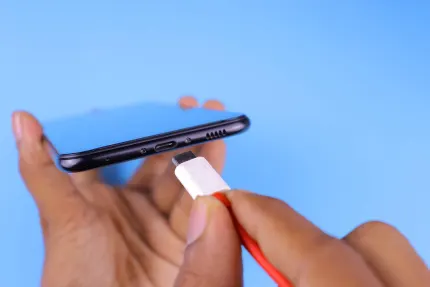 Casino Mobile Wins Mobilapp